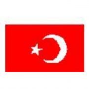 AKP Lİ VEKİL DEN BAYRAKTA DEĞİŞİKLİK ÖNERİSİ